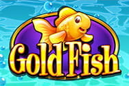 Gold Fish