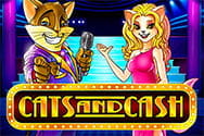 Cats and Cash Slot von Play'n GO